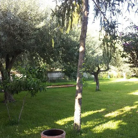 La Casa Dell'antiquario