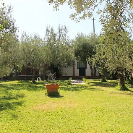 La Casa Dell'antiquario *